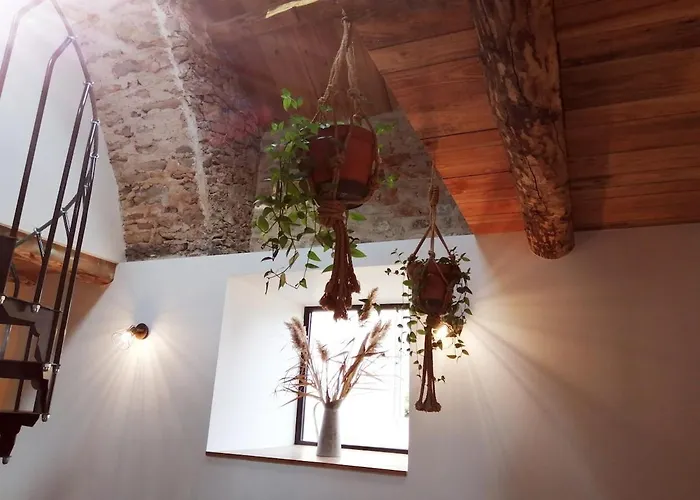 Clemarie Maison De Caractere Sur Le Larzac *